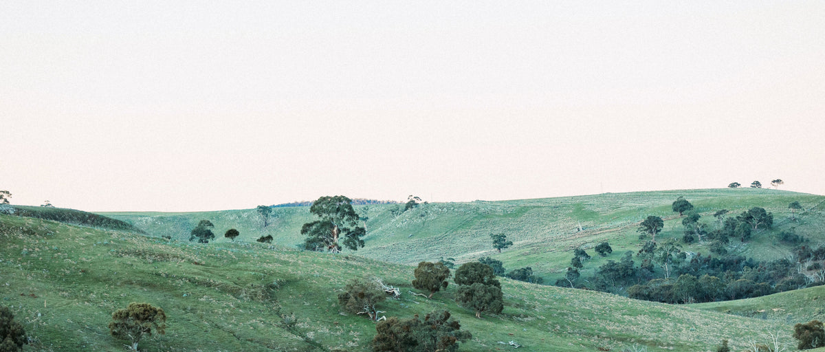 Rolling hills and native trees along Deep Creek in the Macedon Ranges, part of the Mount William greenstone belt.
